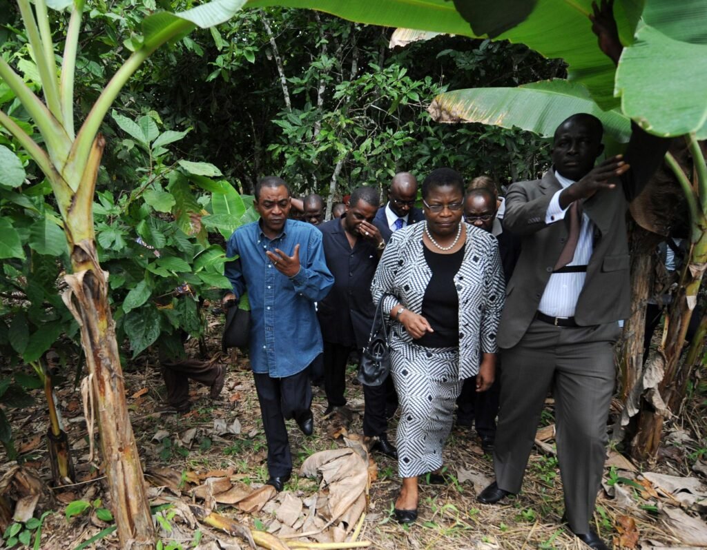 Pre-award due diligence in Africa